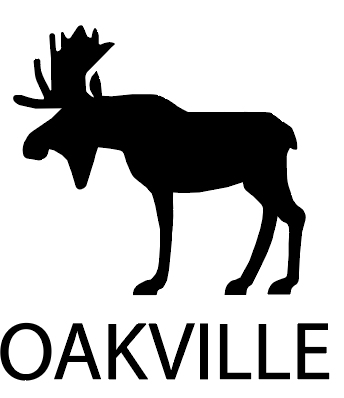 Laser cutting adobe edting