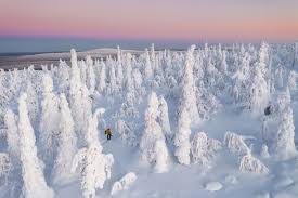 put a description here or you will lose grades