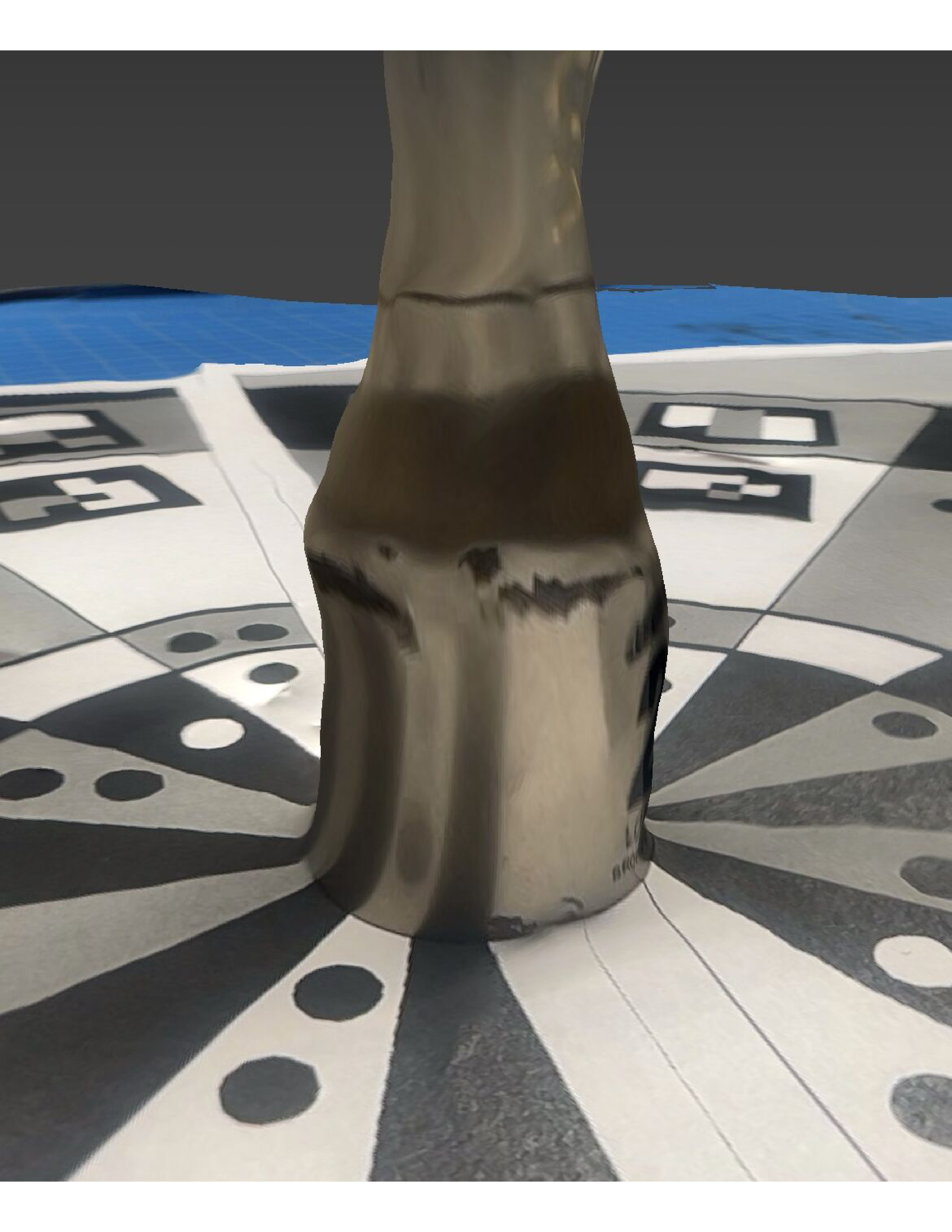 Makeup Bottle Scaniverse